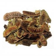 Deve Gözü (Açlık Otu)