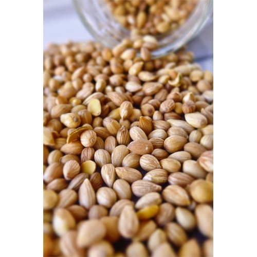 Mahlep Öğütülmüş